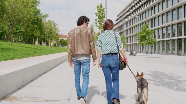 Couple with dog walking in the city, rear view