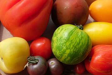 Closeup of different varieties of tomatoes