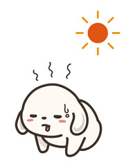 体調不良の犬と太陽　熱中症