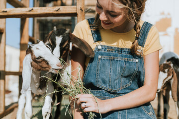Farmer girl feeding the goats