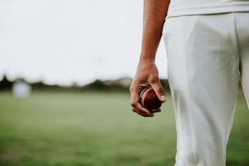 Cricket player holding a leather ball - Powered by Adobe