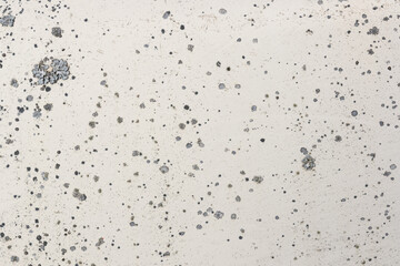texture of white plastered wall with dirt and fungus
