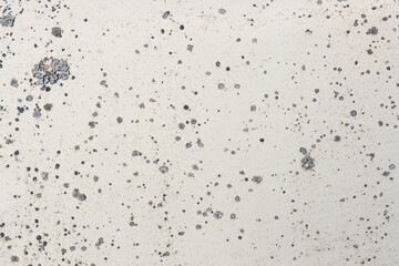 texture of white plastered wall with dirt and fungus