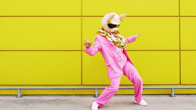 Cool rich pig with gold chain dancing infront of yellow wall