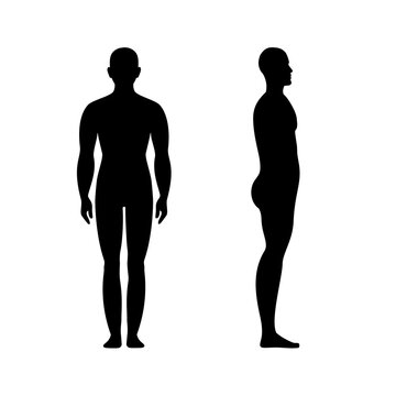 Male anatomy human front and side view body silhouette