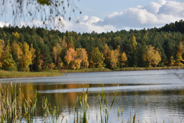Obraz premium colorful autumn trees reflect from the water surface 