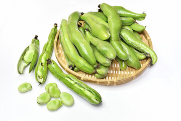 収穫したソラマメ