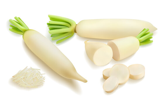4,800+ Radish Knife Stock Photos, Pictures & Royalty-Free Images