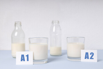 Bottles and glasses of A1 and A2 types of milk on the blue table against white wall