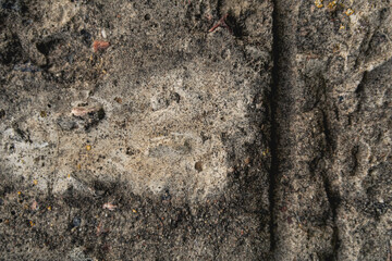 Old concrete wall texture. Grunge background