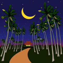  Vector illustration with traditional malay village house or Kampung surrounded with coconut trees during nightime.  - 439305685