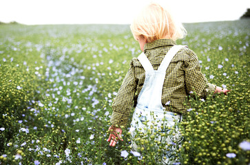 Little boy in a flower field