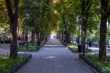 Alley in the park on a Spring day no people