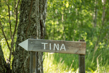 wooden direction sign with Tina name in the woods