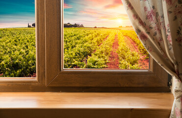 green landscape of tuscany vineyard and desk top