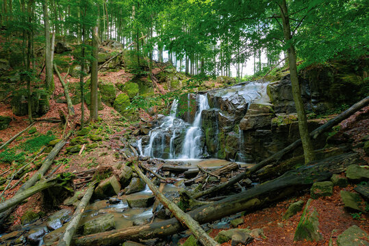 nature scenery with waterfall in spring. powerful water flow in the beech forest