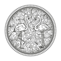 Circle zendala. Birds. Zentangle. Abstract wallpaper. Hand drawn foliage mandala on isolated background. Flamingo. Design for spiritual relaxation for adults. Black and white illustration for coloring
