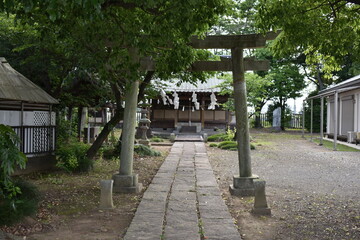 日本　埼玉　新白岡　神社　初夏の風景