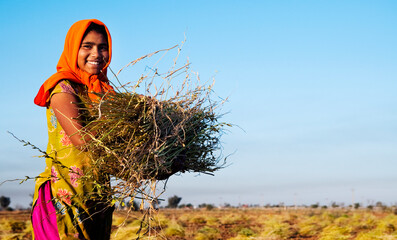 Indian girl working on a farm near Jaipur, India
