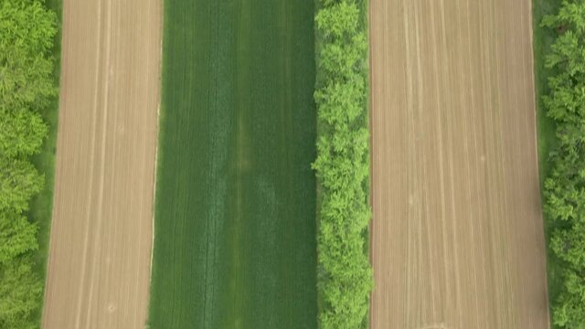 different farming fields from above