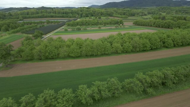 Fly above trees and fields in rural area