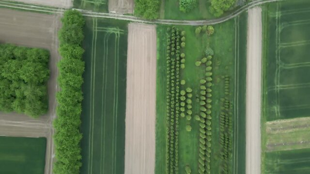 Different agricultural fields and trees from above