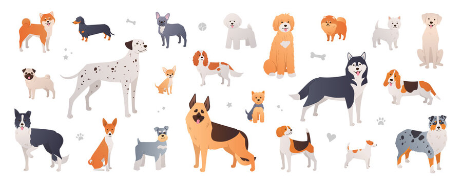 Dog breeds collection. Set of purebred dogs in cartoon flat style on white background. Illustration of Shiba inu, Dalmatian, Pug, Pomeranian, Beagle and more pets in vector