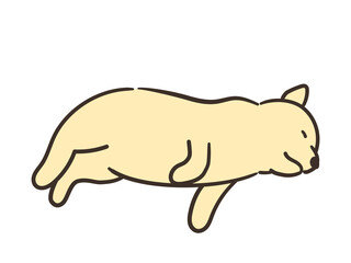 寝ている犬　茶色