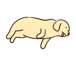 寝ている犬　大型犬