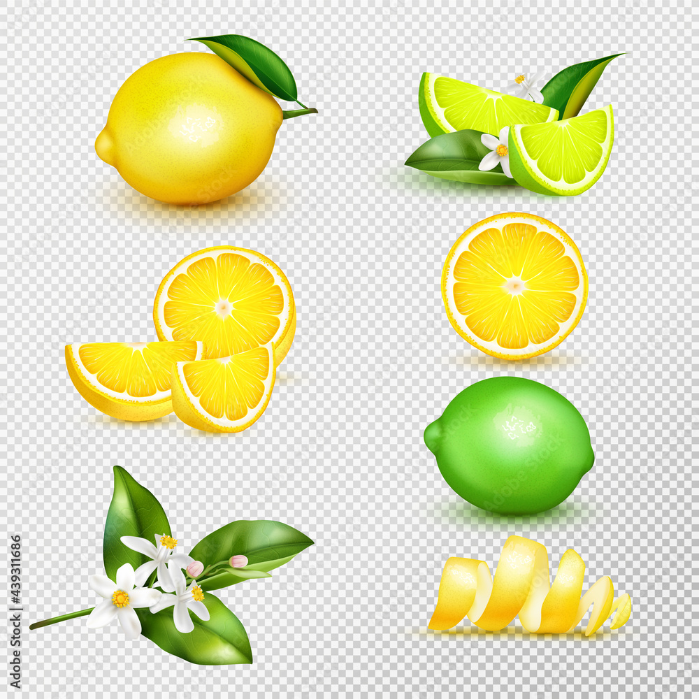 Poster lemon lime realistic set transparent