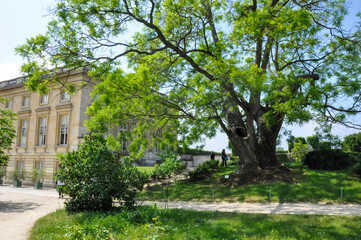 Royal castle park and nearby areas in bloom