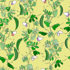 Seamless repeating pattern. Pea plant with pods and flowers. Colorful vector illustration on pale yellow background for surface design and other design projects