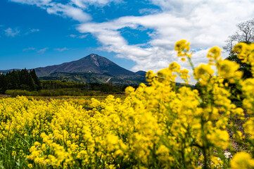 下山後の磐梯山