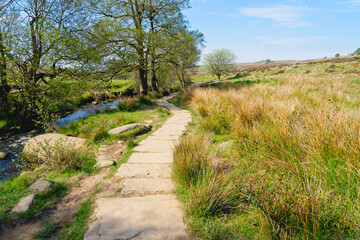 Winding gritstone path at the side of Burbage Brook across moorland in Derbyshire