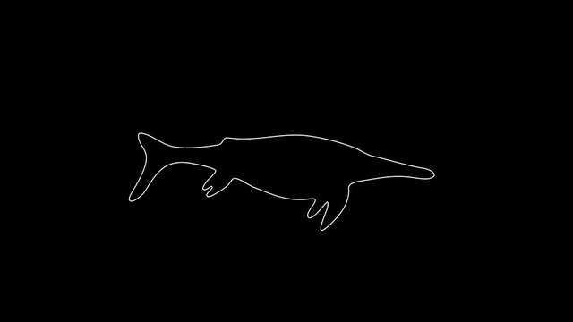 white linear silhouette of a water dinosaur. the picture appears and disappears on a black background.