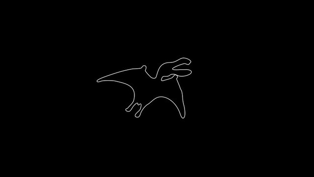 white linear silhouette of a flying dinosaur. the picture appears and disappears on a black background.