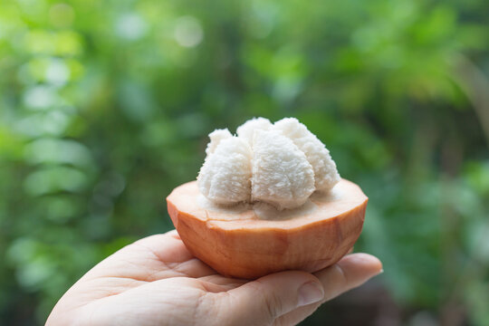Santol is a fruit that is native to Asia. It has a sweet and sour taste with a delicious brown and white flesh.