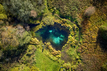 beautiful view of clear blue lake in a forest