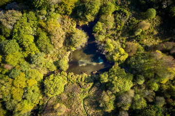 beautiful view of clear blue lake in a forest