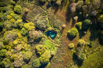beautiful view of clear blue lake in a forest