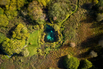 beautiful view of clear blue lake in a forest