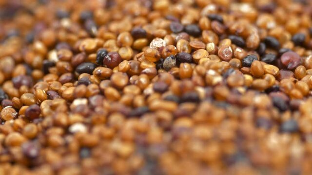 Canihua Seeds Rotating Background. Organic Superfood Chenopodium Pallidicaule as Goosefoot Quinoa. South American Grain. Healthy and Gluten Free Food Concept Background. 