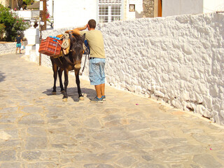 Donkey driver standing while waiting for tourists Greek island Hydra Saronikos Gulf - 439316266