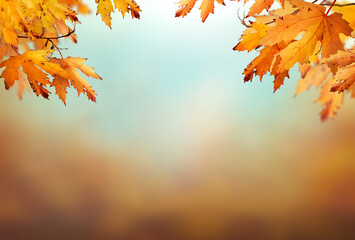 An autumn nature, fall background of blurred foliage and tree leaves with blue sky in an autumn...