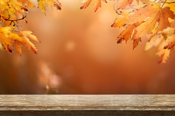 A wood table product display with copyspace and a golden brown autumn background of leaves for...