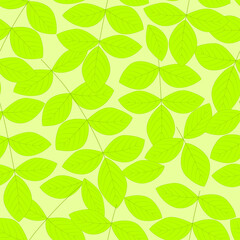 Leaves seamless vector pattern. Abstract leaves of a tree on a white background. Delicate botanical background.