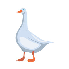 Cute goose isolated on white transparent background.