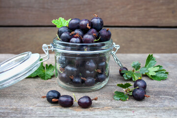 Jostaberry fruits in a jar on a background of wooden boards