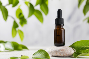 Serum for the skin of the face and body in a dark dropper on a stone among the leaves. The concept of natural cosmetics
