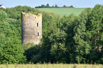 Fototapete bei efototapeten.de bestellen   